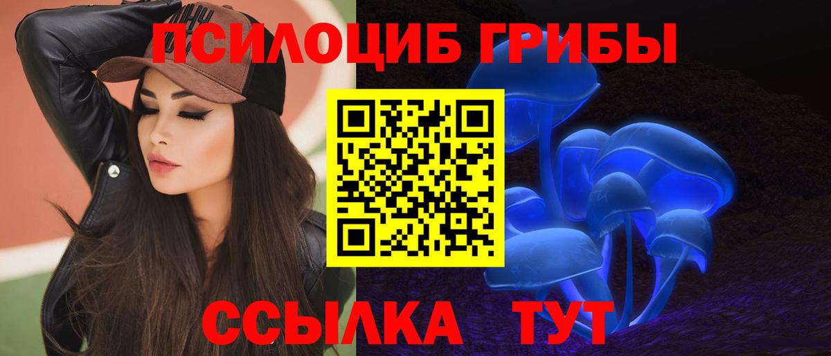 Псилоцибиновые грибы прущие грибы  Вход с VPN  Тольятти  Псилоцибиновые грибы Psilocybine cubensis 
